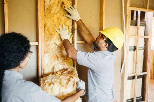 Best Attic Insulation Installation  in Dover, FL